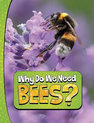 Why Do We Need Bees? By Laura K. Murray 9781398253810 (Paperback)