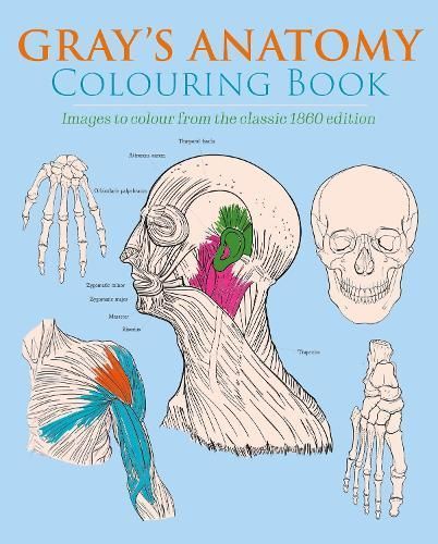 Gray's Anatomy Colouring Book 9781398807891 (Paperback)