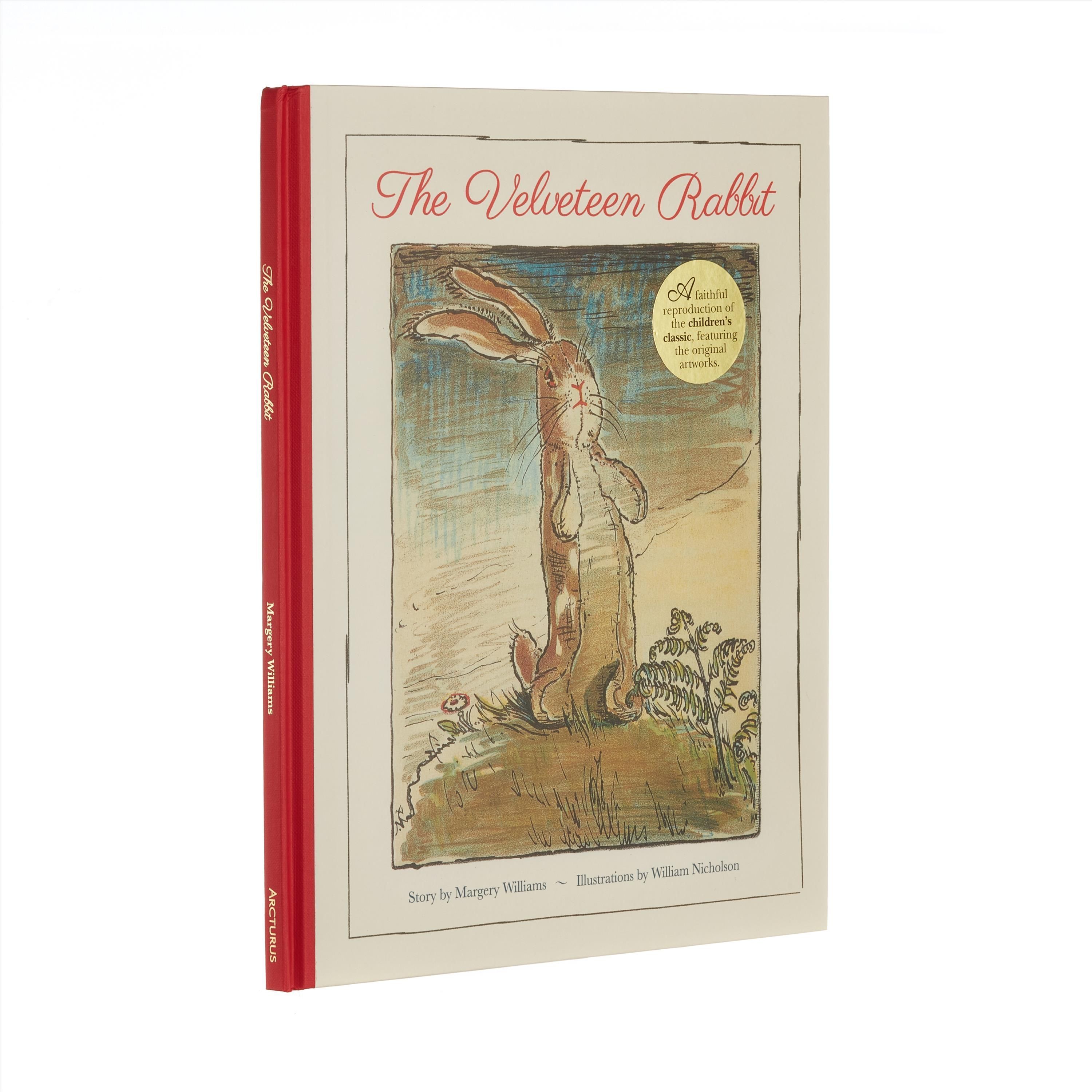 The Velveteen Rabbit 9781398809314 (Hardback)