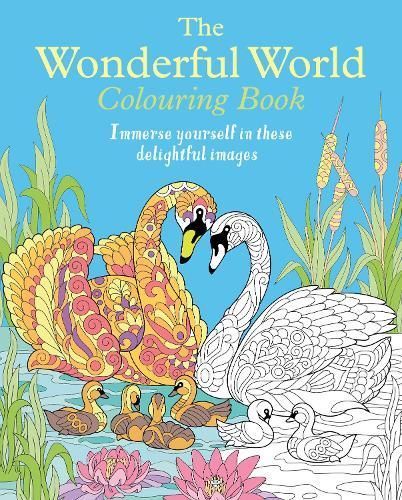 The Wonderful World Colouring Book By Tansy Willow 9781398834958