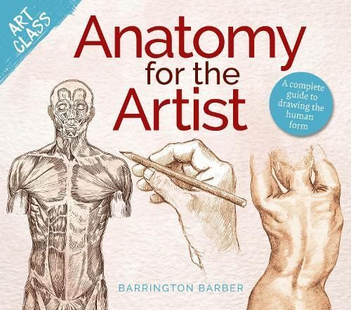 Anatomy for the Artist By Barrington Barber 9781398840089 (Paperback)