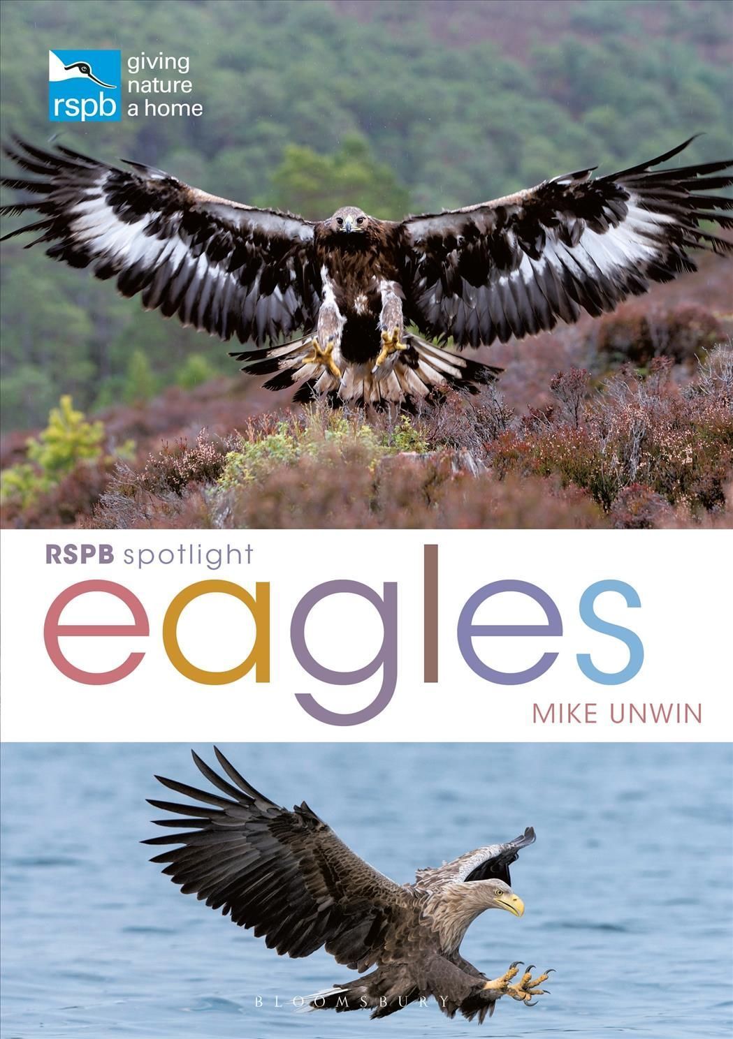 Eagles 9781399402156 (Paperback)