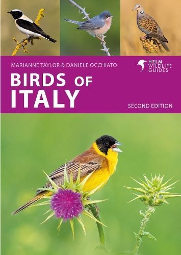Birds of Italy By Marianne Taylor, Daniele Occhiato 9781399410649