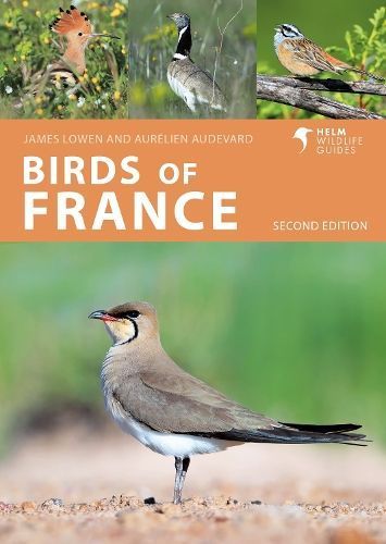 Birds of France By James Lowen, Aurélien Audevard 9781399411387