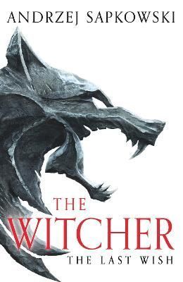 The Last Wish By Andrzej Sapkowski (author), Danusia Stok (translator)