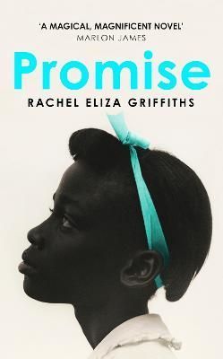 Promise By Rachel Eliza Griffiths 9781399809818 (Hardback)