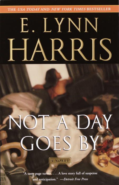 Not a Day Goes By By E. Lynn Harris 9781400075782 (Paperback)