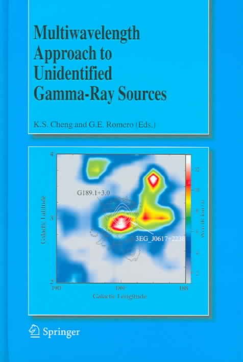 Multiwavelength Approach to Unidentified Gamma-Ray Sources (Hardback)