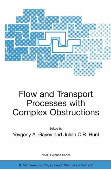 Flow and Transport Processes With Complex Obstructions 9781402053832