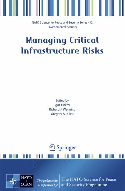 Managing Critical Infrastructure Risks 9781402063848 (Paperback)