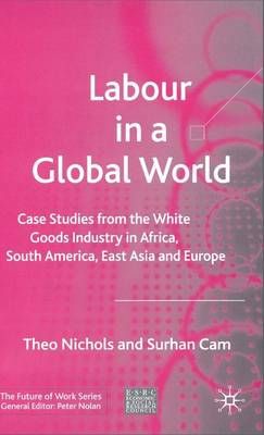 Labour in a Global World By Theo Nichols, Surhan Cam 9781403939791