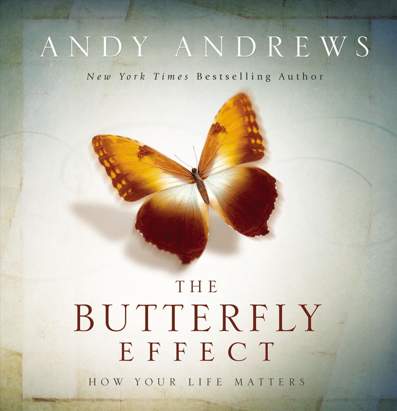 The Butterfly Effect By Andy Andrews 9781404187801 (Hardback)