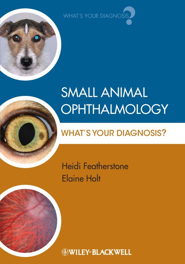 Small Animal Ophthalmology By Heidi Featherstone, Elaine Holt