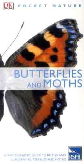 Butterflies and Moths By Paul Sterry, Andrew Mackay 9781405349956