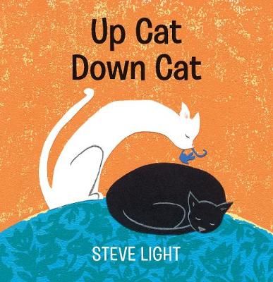 Up Cat Down Cat By Steve Light 9781406393545 (Board book)