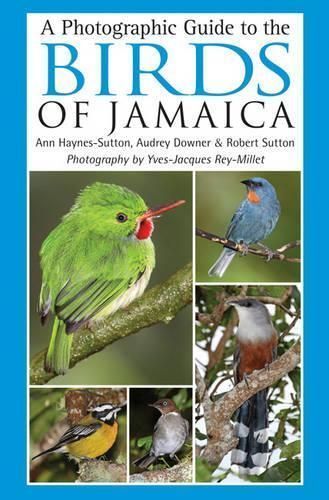 A Photographic Guide to the Birds of Jamaica 9781408107430 (Paperback)