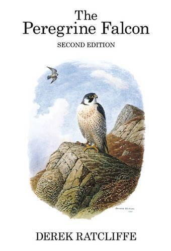 The Peregrine Falcon By Derek A. Ratcliffe, Donald Watson (Hardback)