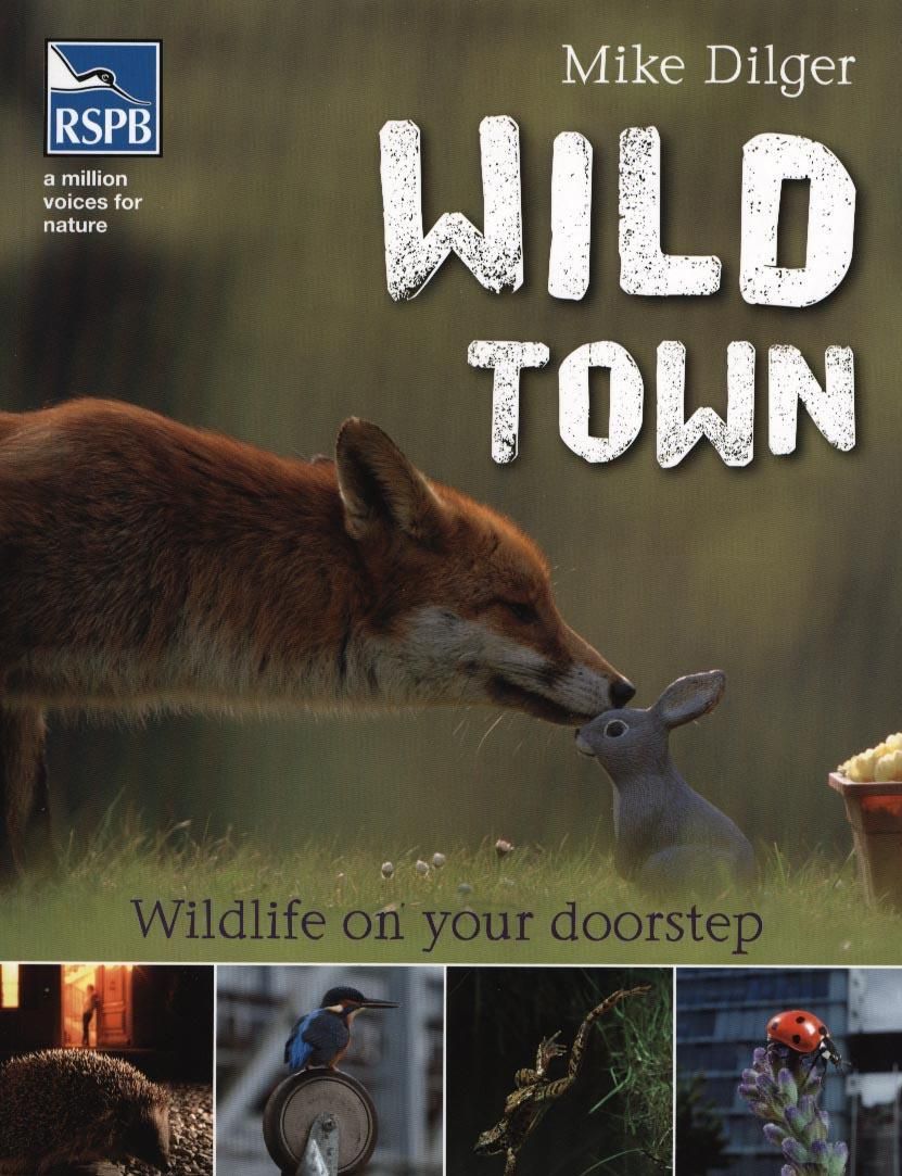 Wild Town By Mike Dilger, Royal Society for the Protection of Birds