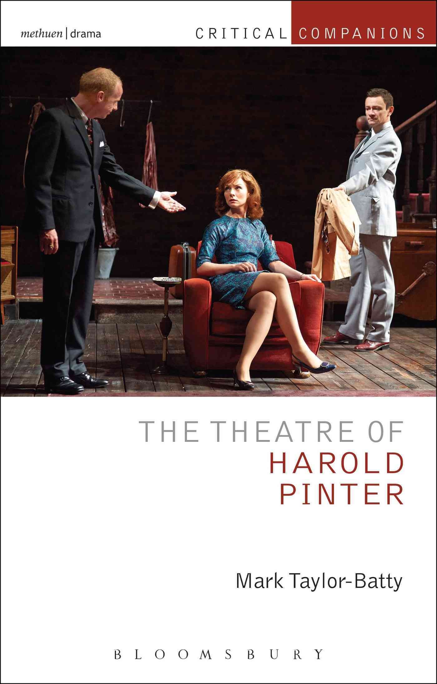 The Theatre of Harold Pinter By Taylor-Batty, Mark 9781408175316