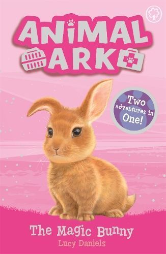 The Magic Bunny By Lucy Daniels, Lucy Daniels 9781408359310