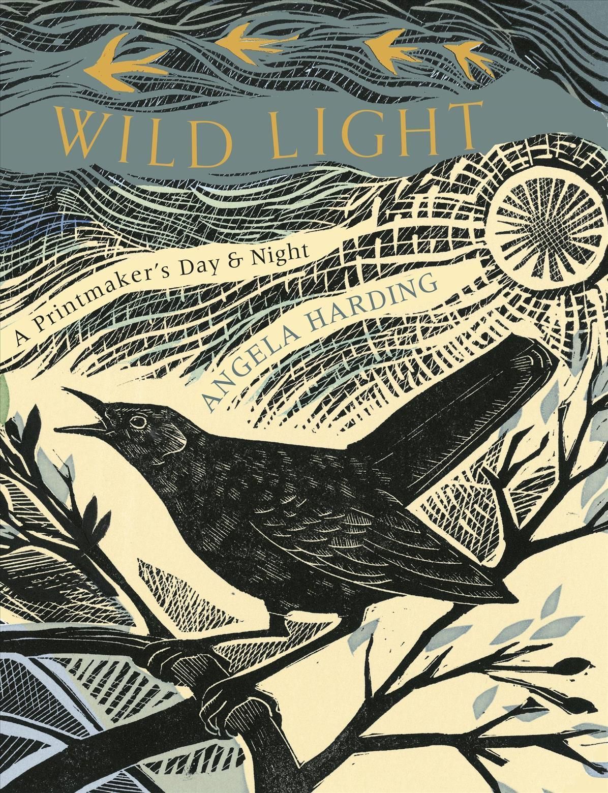 Wild Light By Angela Harding (artist) 9781408726808 (Hardback)