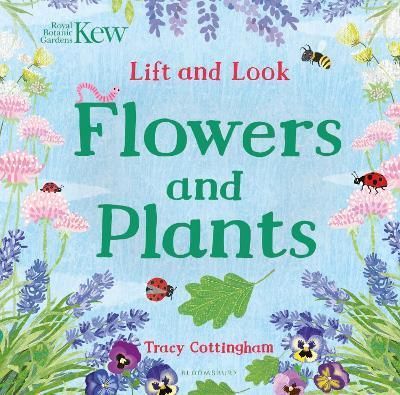 Flowers and Plants 9781408889824 (Board book)