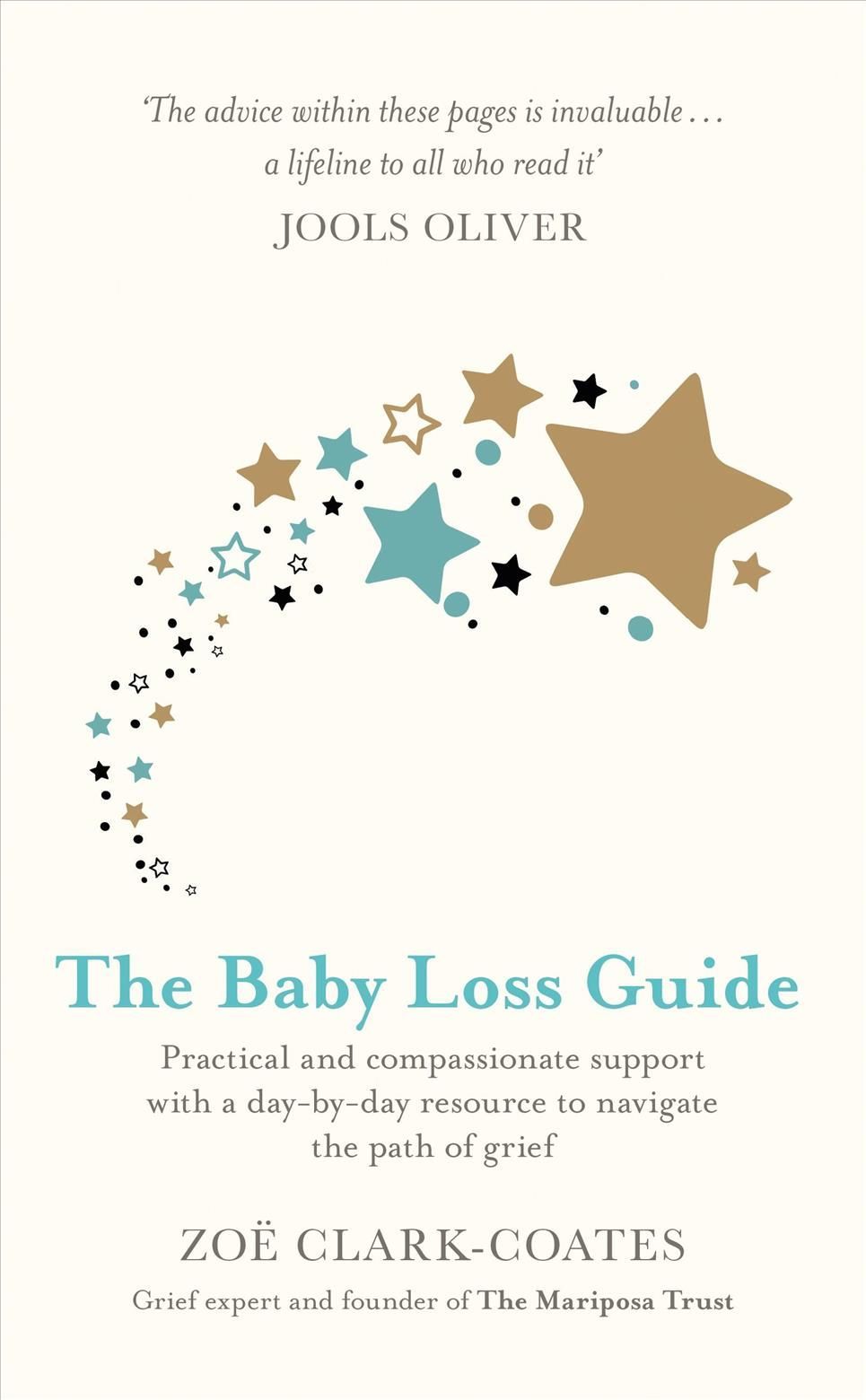 The Baby Loss Guide By Zoë Clark-Coates 9781409185451 (Paperback)