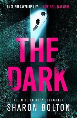 The Dark By Sharon Bolton 9781409198345 (Hardback)