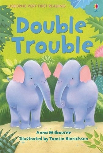 Double Trouble By Anna Milbourne, Tamsin Hinrichsen 9781409530619