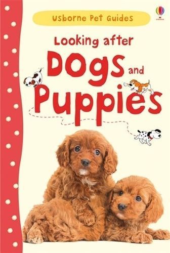 Looking After Dogs and Puppies 9781409532408 (Hardback)