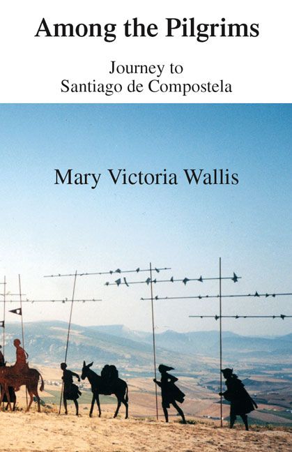 Among the Pilgrims: Journeys to Santiago De Compostela 9781412007962