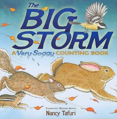 The Big Storm By Nancy Tafuri 9781416967958 (Hardback)