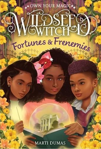 Fortunes & Frenemies By Marti Dumas 9781419772733 (Hardback)