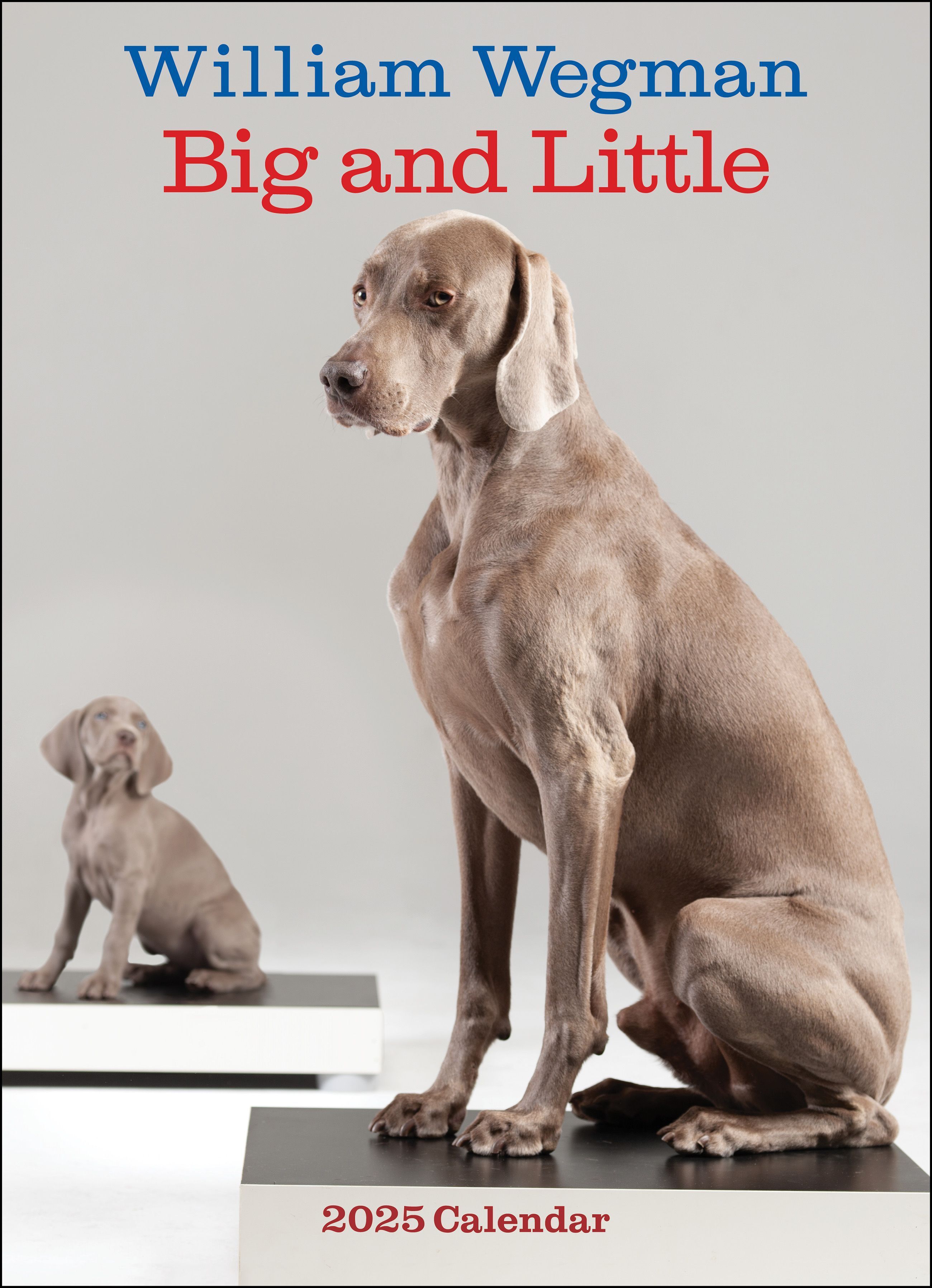 William Wegman Big and Little 2025 Wall Calendar By William Wegman