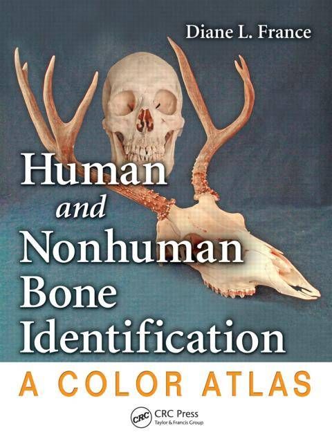 Human and Nonhuman Bone Identification By Diane L. France (Hardback)