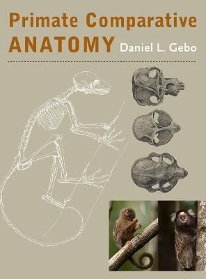 Primate Comparative Anatomy By Daniel L. Gebo 9781421414898 (Hardback)