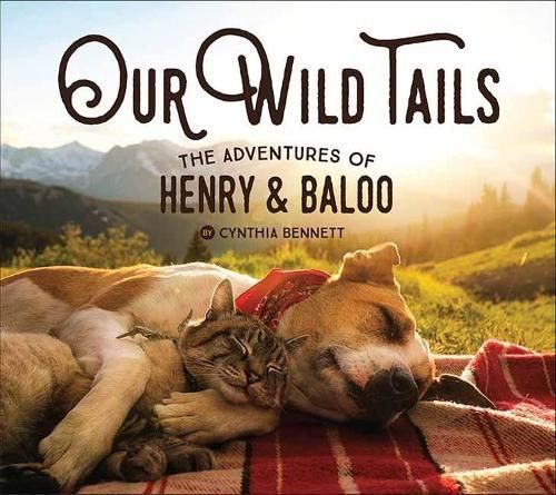 Our Wild Tails By Cynthia Bennett (other) 9781423654056 (Hardback)