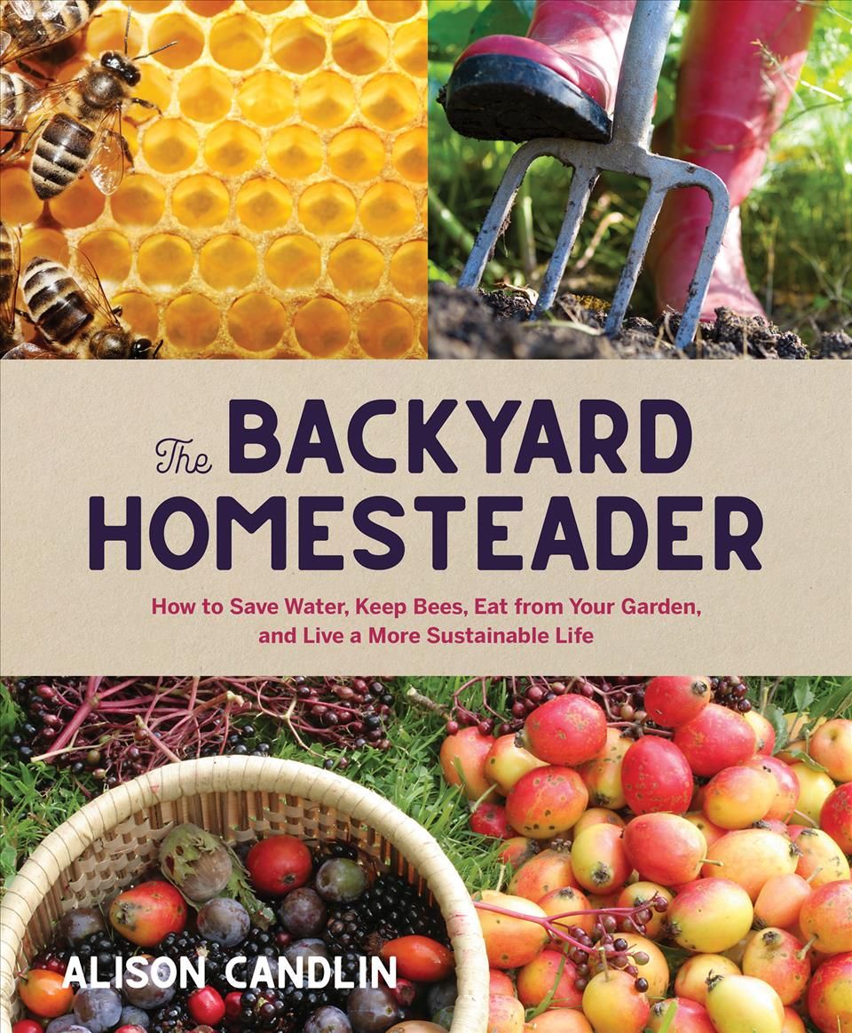 Backyard Homesteader By Alison Candlin 9781423656784 (Hardback)