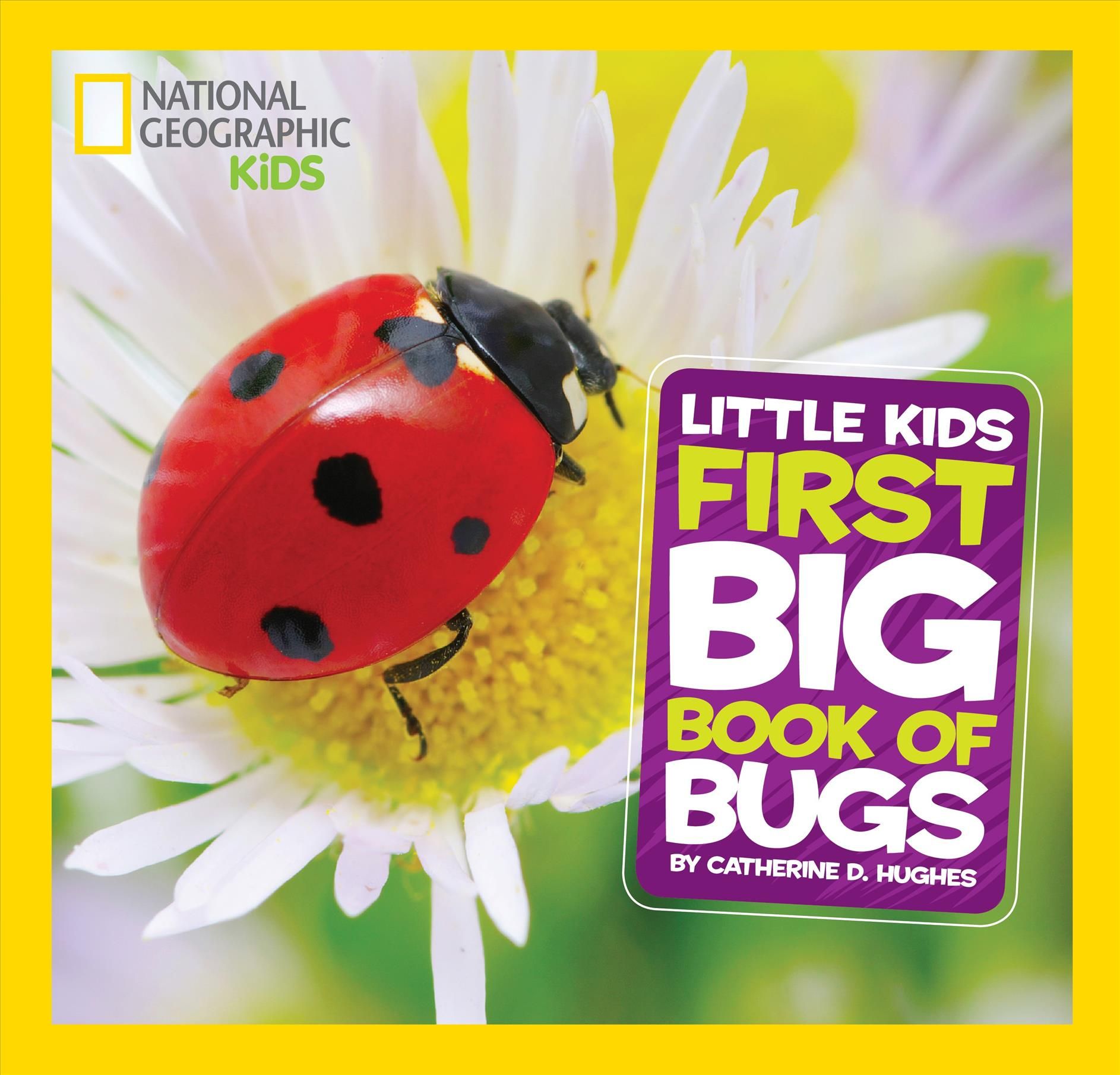 Little Kids First Big Book of Bugs By Catherine D. Hughes (Hardback)
