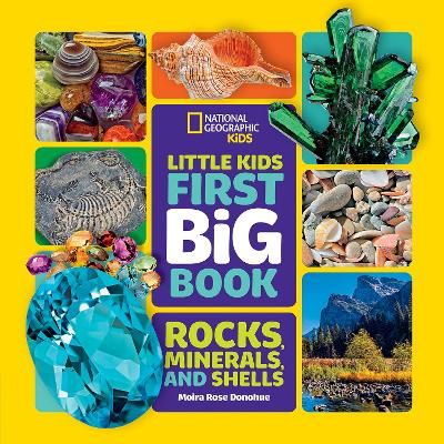 Little Kids First Big Book By Moira Rose Donohue 9781426372223
