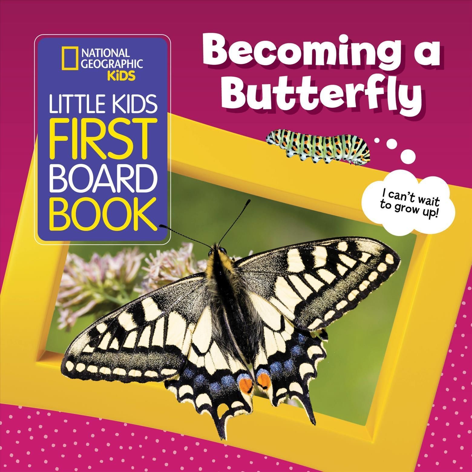 Becoming a Butterfly By National Geographic KIds 9781426374128