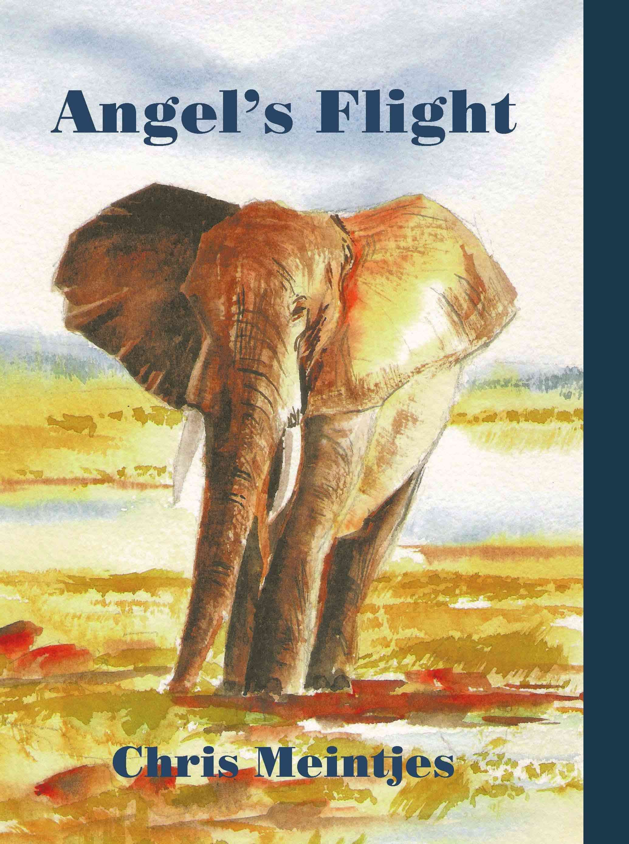Angel's Flight By Chris Meintjes 9781426908439 (Hardback)