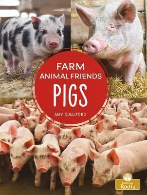 Pigs By Amy Culliford 9781427134547 (Hardback)