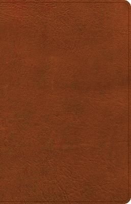 NASB Large Print Thinline Bible, Burnt Sienna LeatherTouch