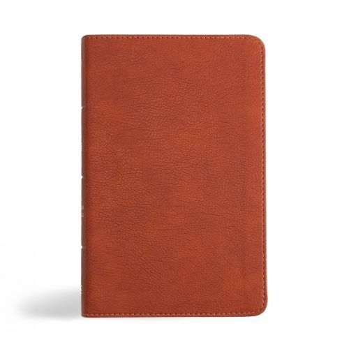NASB Personal Size Bible, Burnt Sienna LeatherTouch 9781430094807
