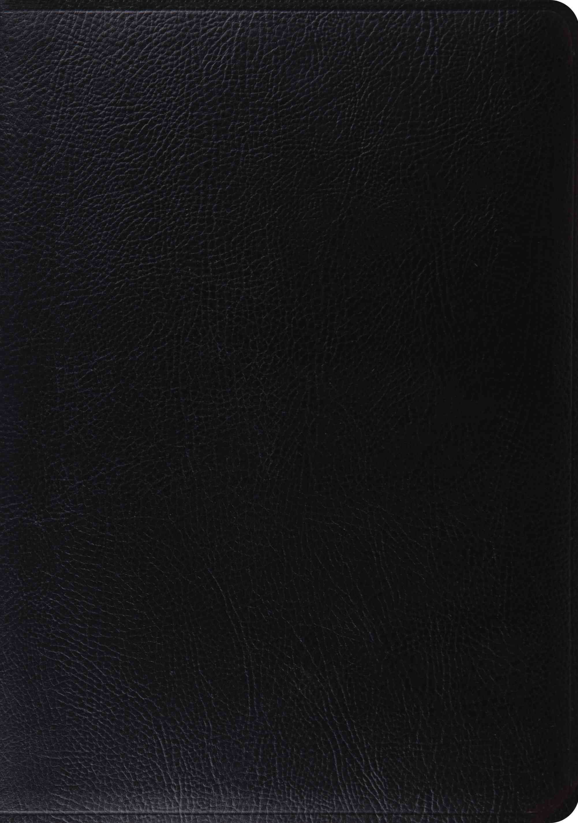 Study Bible By Crossway Books (COR) 9781433502453