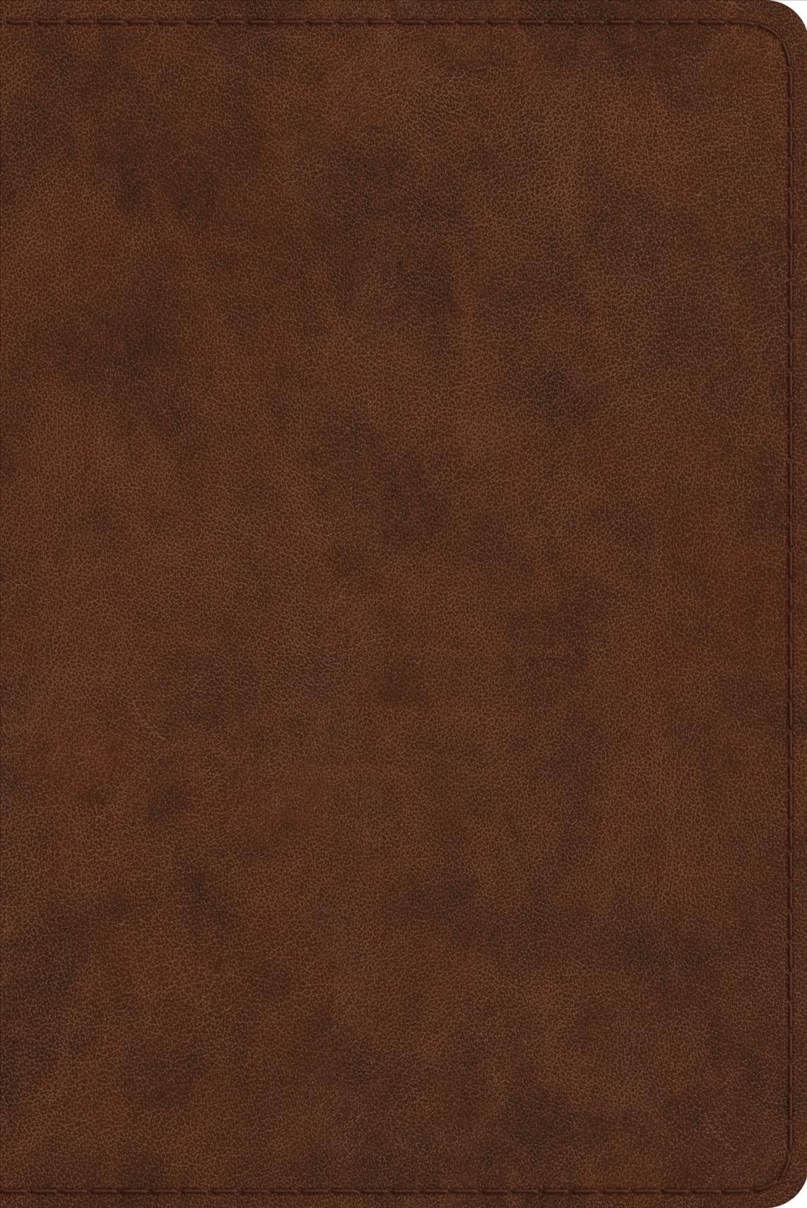 Study Bible-ESV-Personal Size By Crossway Bibles (creator)