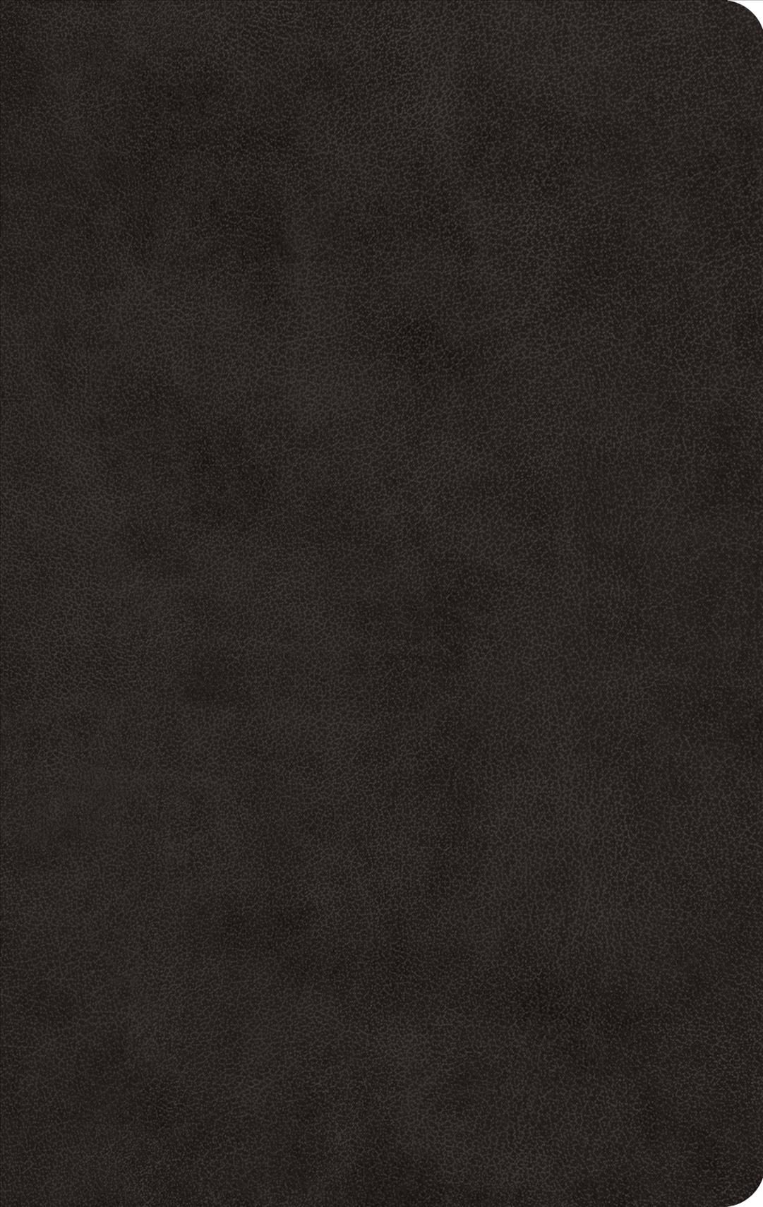 ESV Large Print Value Thinline Bible (Trutone, Black) 9781433555978