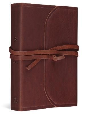 ESV Student Study Bible By Not Available (NA) 9781433588549