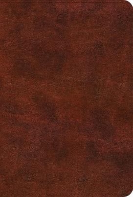 ESV Bible Promises By Douglas Sean O'Donnell (introduction)